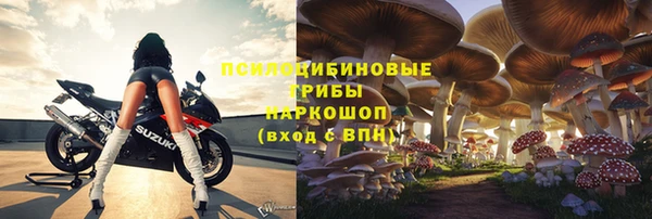 спайс Аркадак