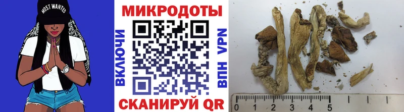 darknet как зайти  Исилькуль  Галлюциногенные грибы MAGIC MUSHROOMS  сколько стоит 